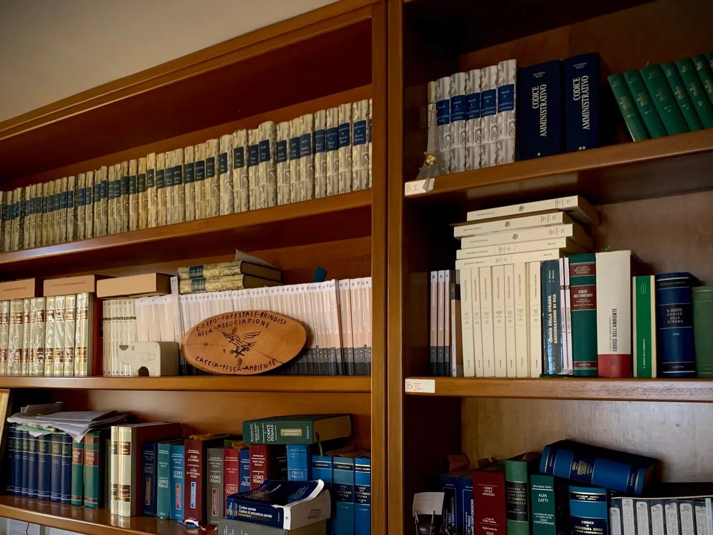 La libreria dello studio: codice penale, codice di procedura penale, codice civile, codice amministrativo e annate di riviste giuridiche rilegate.
